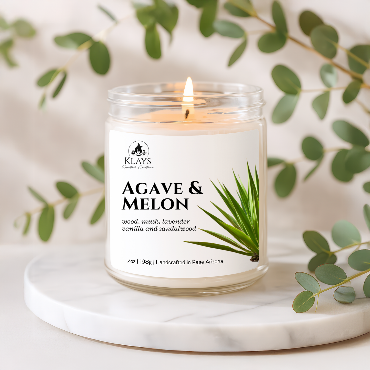 Agave and Melon