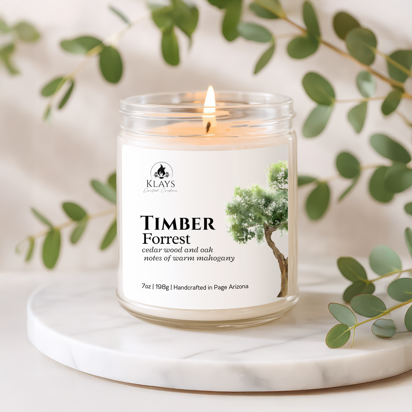Timber Forrest